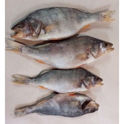 Окунь в'ялений