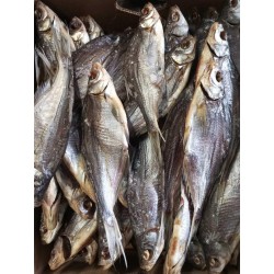 Синець в'ялений чищений