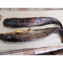 Сом копчений