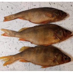 Окунь копчений