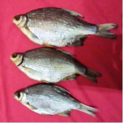 Густера вялена