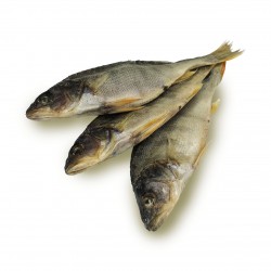 Окунь в'ялений