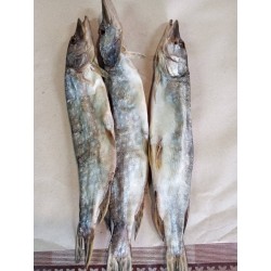 Щука в'ялена