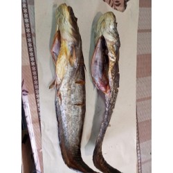 Сом копчений